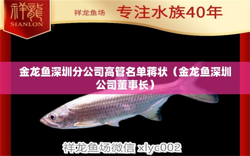 金龍魚(yú)深圳分公司高管名單蔣狀（金龍魚(yú)深圳公司董事長(zhǎng)）