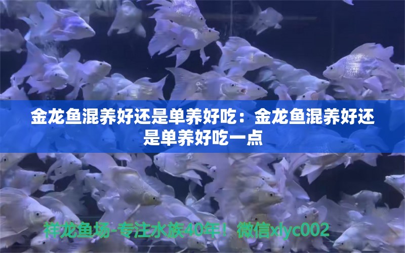 金龍魚混養(yǎng)好還是單養(yǎng)好吃：金龍魚混養(yǎng)好還是單養(yǎng)好吃一點 龍魚百科