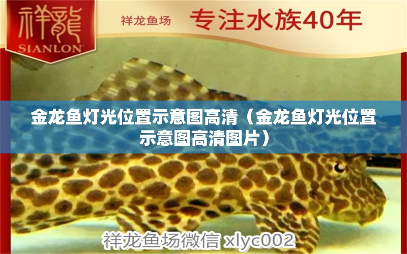 金龍魚燈光位置示意圖高清（金龍魚燈光位置示意圖高清圖片）