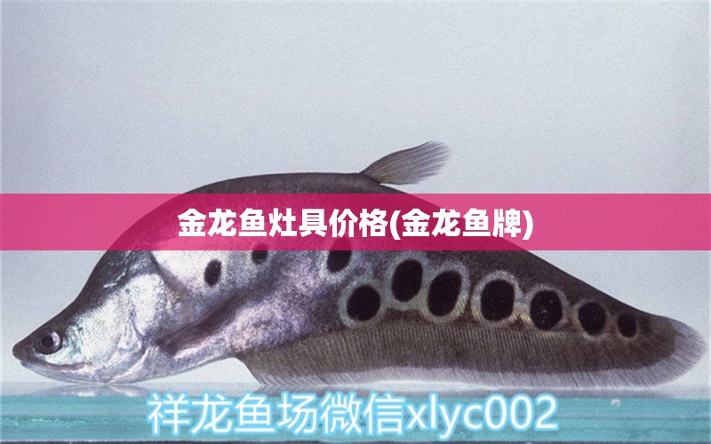 金龍魚灶具價格(金龍魚牌) 水族燈（魚缸燈）