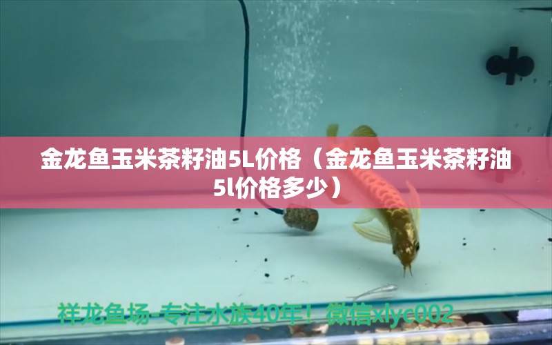 金龍魚玉米茶籽油5L價格（金龍魚玉米茶籽油5l價格多少） 彩鰈魚缸（彩蝶魚缸）