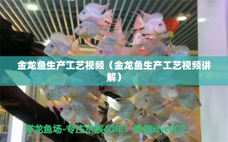 金龍魚(yú)生產(chǎn)工藝視頻（金龍魚(yú)生產(chǎn)工藝視頻講解） 祥龍水族醫(yī)院