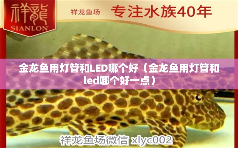 金龍魚用燈管和LED哪個(gè)好（金龍魚用燈管和led哪個(gè)好一點(diǎn)）