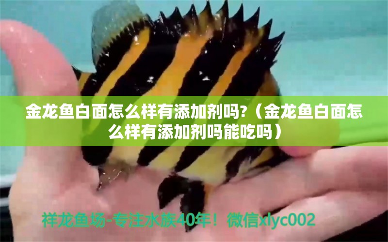 金龍魚白面怎么樣有添加劑嗎?（金龍魚白面怎么樣有添加劑嗎能吃嗎）