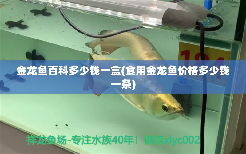 金龍魚百科多少錢一盒(食用金龍魚價格多少錢一條) 野彩魚