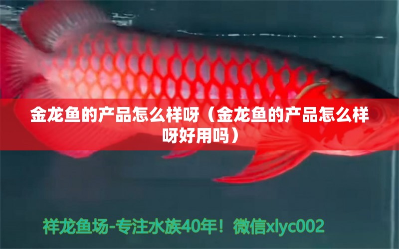 金龍魚的產(chǎn)品怎么樣呀（金龍魚的產(chǎn)品怎么樣呀好用嗎） 魚缸百科