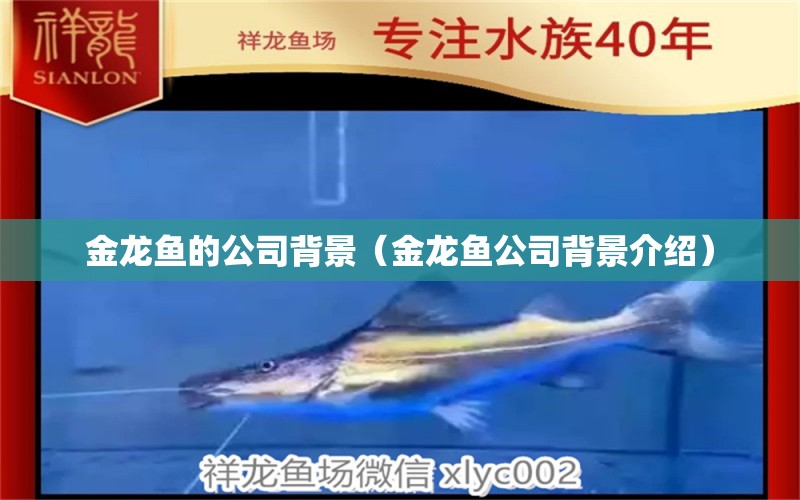 金龍魚的公司背景（金龍魚公司背景介紹）