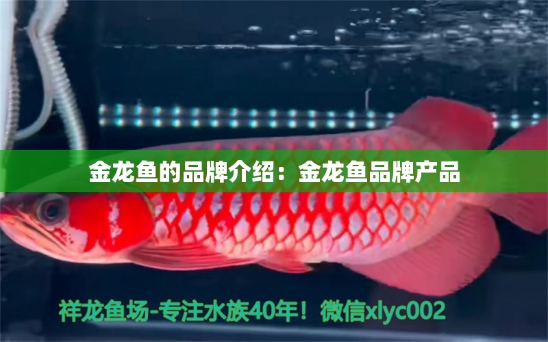 金龍魚的品牌介紹：金龍魚品牌產(chǎn)品