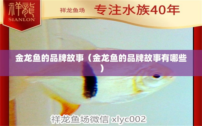 金龍魚的品牌故事（金龍魚的品牌故事有哪些）