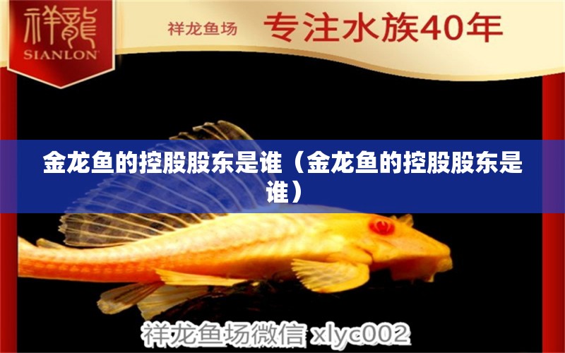 金龍魚的控股股東是誰(shuí)（金龍魚的控股股東是誰(shuí)）