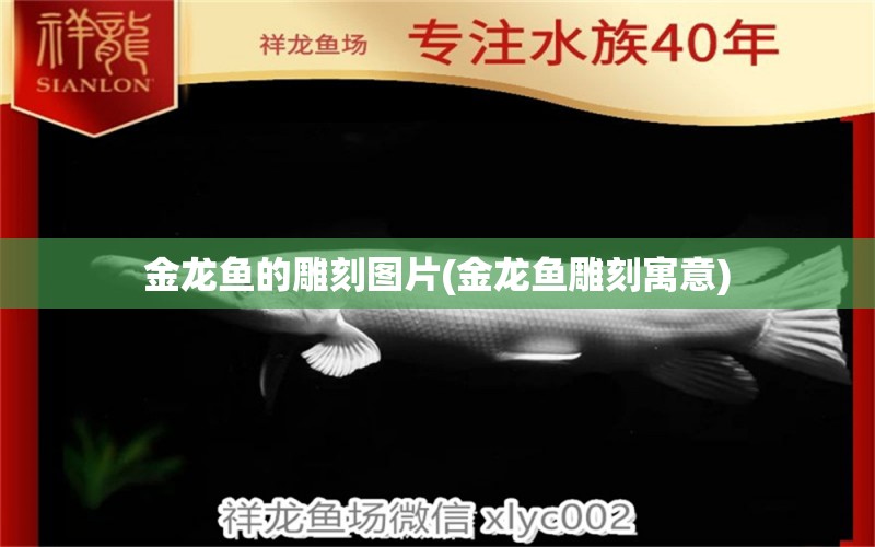 金龍魚的雕刻圖片(金龍魚雕刻寓意) 綠皮皇冠豹魚