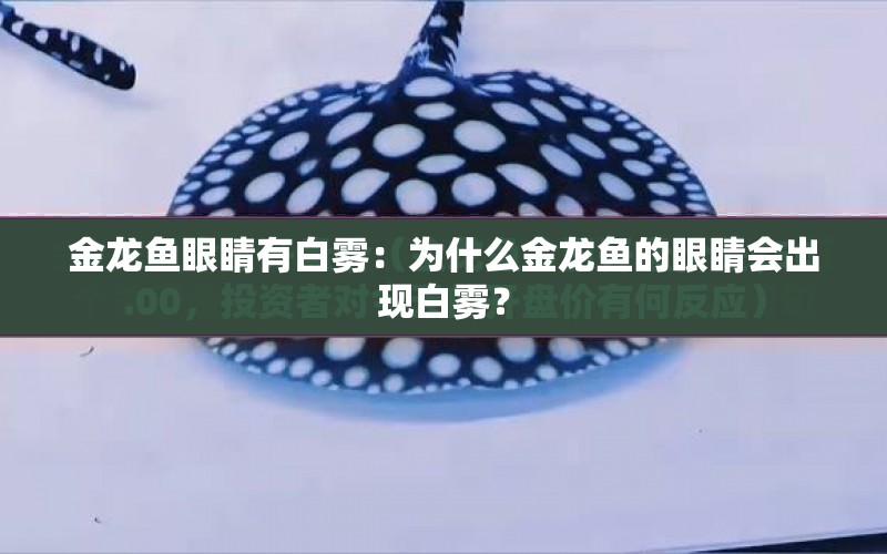 金龍魚眼睛有白霧：為什么金龍魚的眼睛會(huì)出現(xiàn)白霧？ 水族問答 第2張