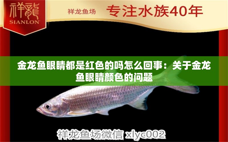 金龍魚眼睛都是紅色的嗎怎么回事：關(guān)于金龍魚眼睛顏色的問題