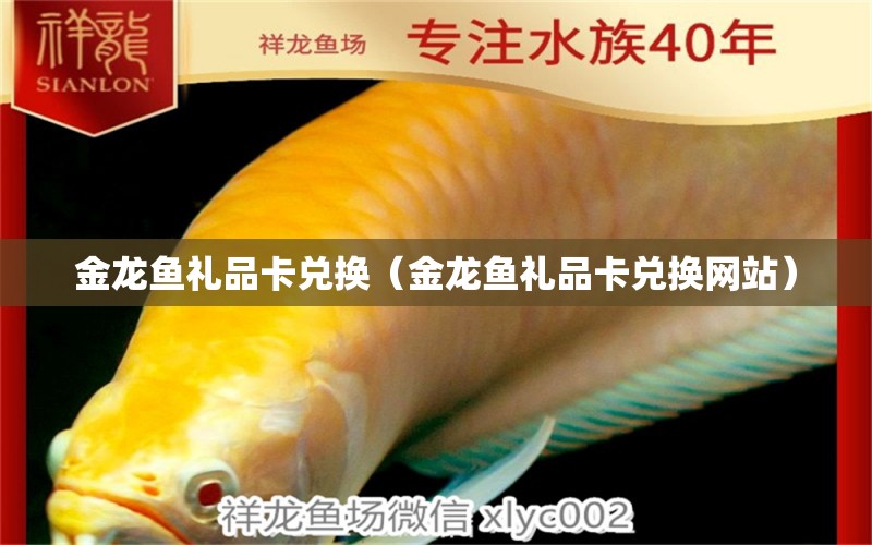 金龍魚禮品卡兌換（金龍魚禮品卡兌換網(wǎng)站） 觀賞魚市場(chǎng)（混養(yǎng)魚）