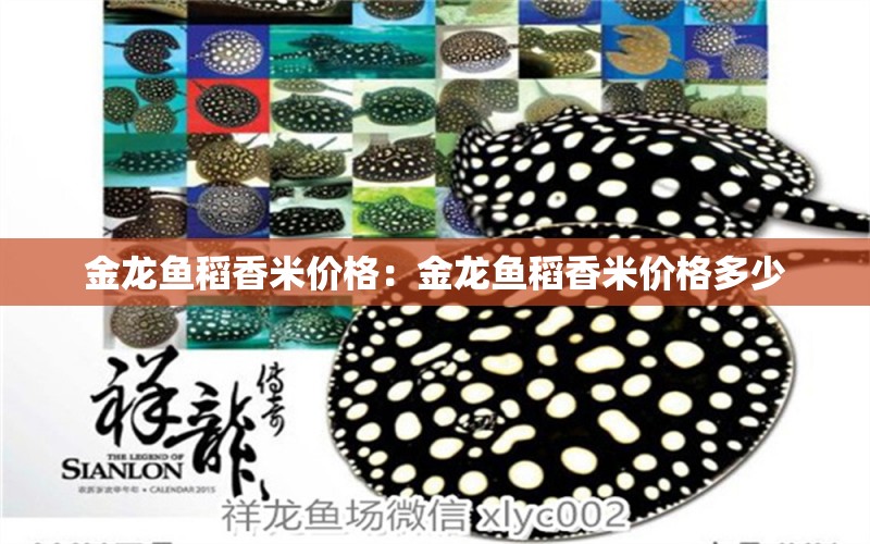 金龍魚稻香米價(jià)格：金龍魚稻香米價(jià)格多少