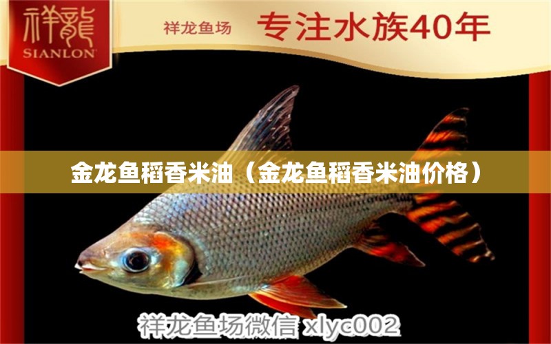 金龍魚稻香米油（金龍魚稻香米油價格）