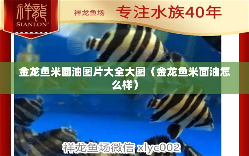 金龍魚米面油圖片大全大圖（金龍魚米面油怎么樣）