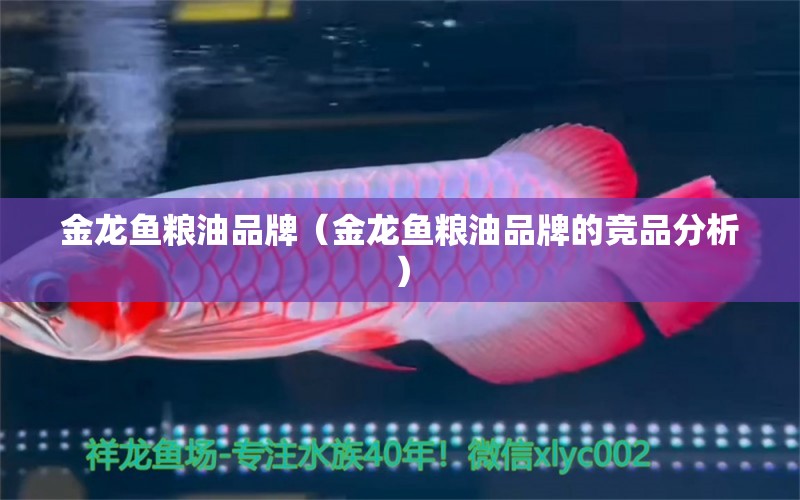 金龍魚糧油品牌（金龍魚糧油品牌的競品分析） 金龍魚糧