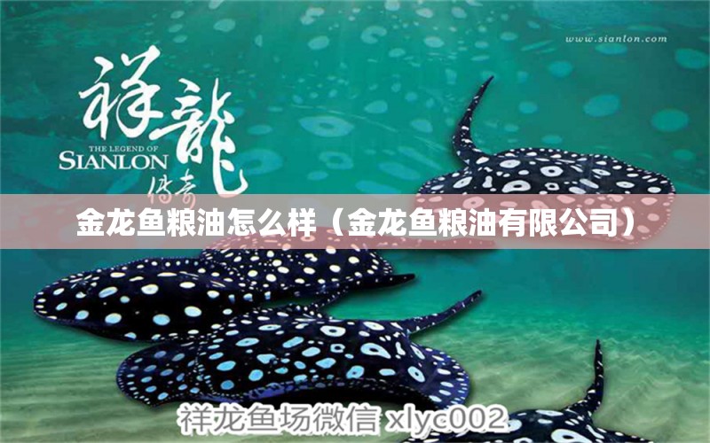 金龍魚糧油怎么樣（金龍魚糧油有限公司） 金龍魚糧