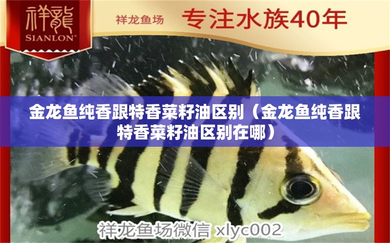 金龍魚純香跟特香菜籽油區(qū)別（金龍魚純香跟特香菜籽油區(qū)別在哪）