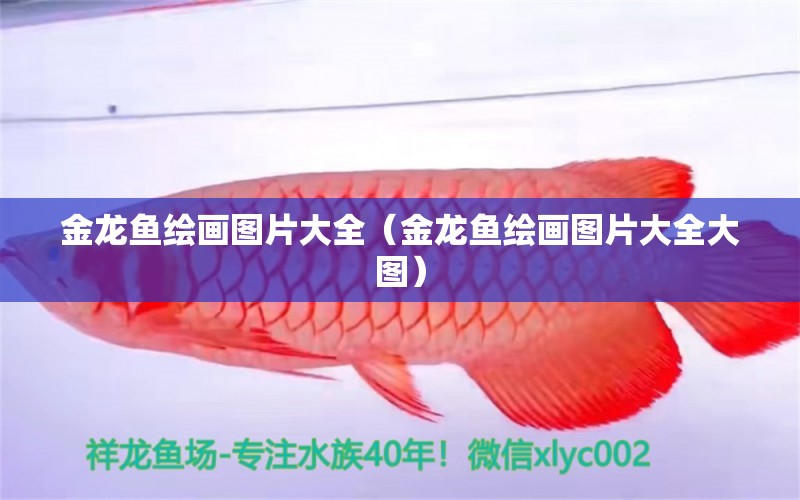 金龍魚繪畫圖片大全（金龍魚繪畫圖片大全大圖）