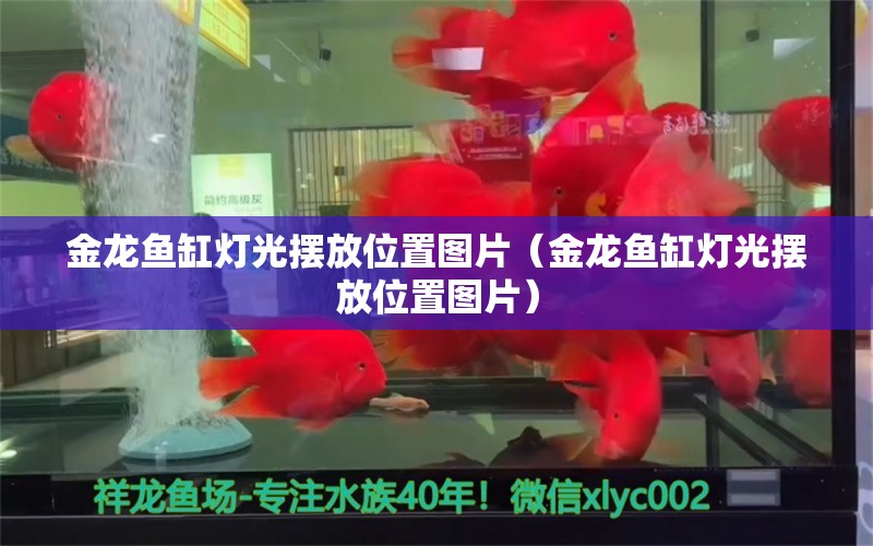 金龍魚缸燈光擺放位置圖片（金龍魚缸燈光擺放位置圖片）