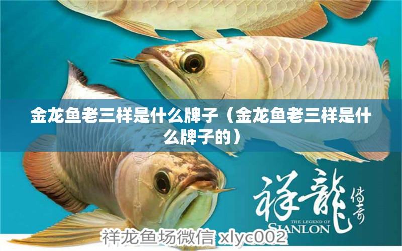 金龍魚老三樣是什么牌子（金龍魚老三樣是什么牌子的）