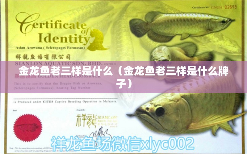 金龍魚老三樣是什么（金龍魚老三樣是什么牌子）