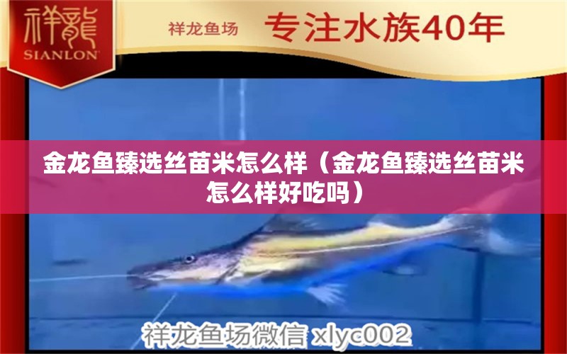 金龍魚臻選絲苗米怎么樣（金龍魚臻選絲苗米怎么樣好吃嗎） 祥龍水族醫(yī)院