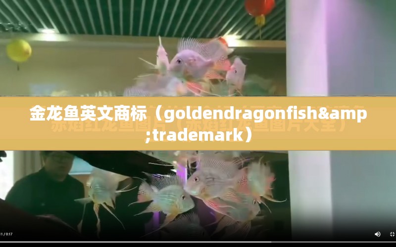 金龍魚英文商標(biāo)（goldendragonfish&trademark） 水族問答 第1張