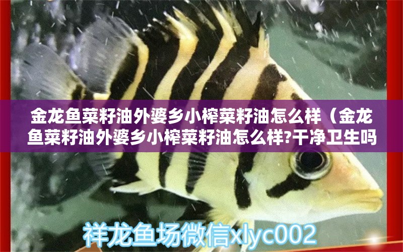 金龍魚菜籽油外婆鄉(xiāng)小榨菜籽油怎么樣（金龍魚菜籽油外婆鄉(xiāng)小榨菜籽油怎么樣?干凈衛(wèi)生嗎?）