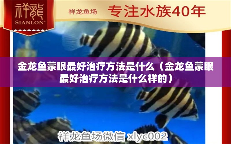 金龍魚蒙眼最好治療方法是什么（金龍魚蒙眼最好治療方法是什么樣的）