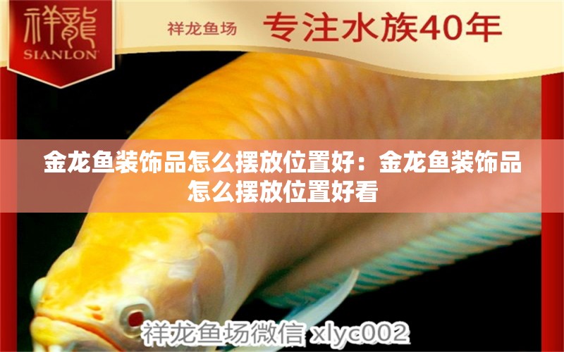 金龍魚(yú)裝飾品怎么擺放位置好：金龍魚(yú)裝飾品怎么擺放位置好看