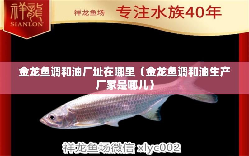 金龍魚調(diào)和油廠址在哪里（金龍魚調(diào)和油生產(chǎn)廠家是哪兒）