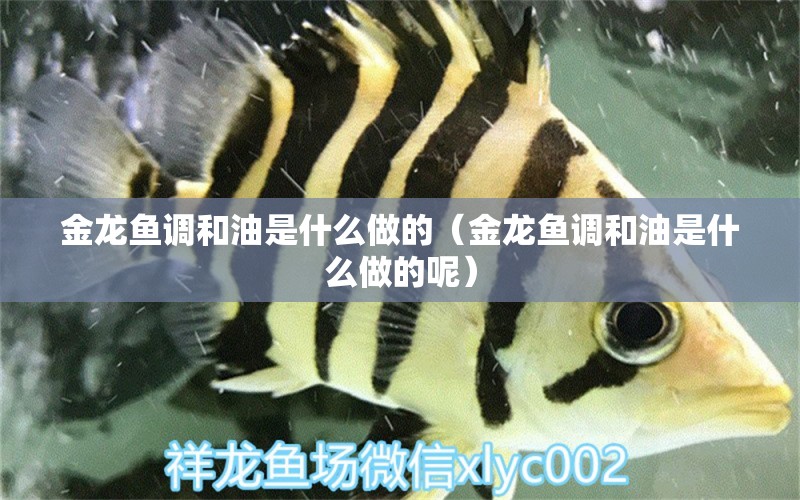 金龍魚調(diào)和油是什么做的（金龍魚調(diào)和油是什么做的呢） 祥龍水族醫(yī)院