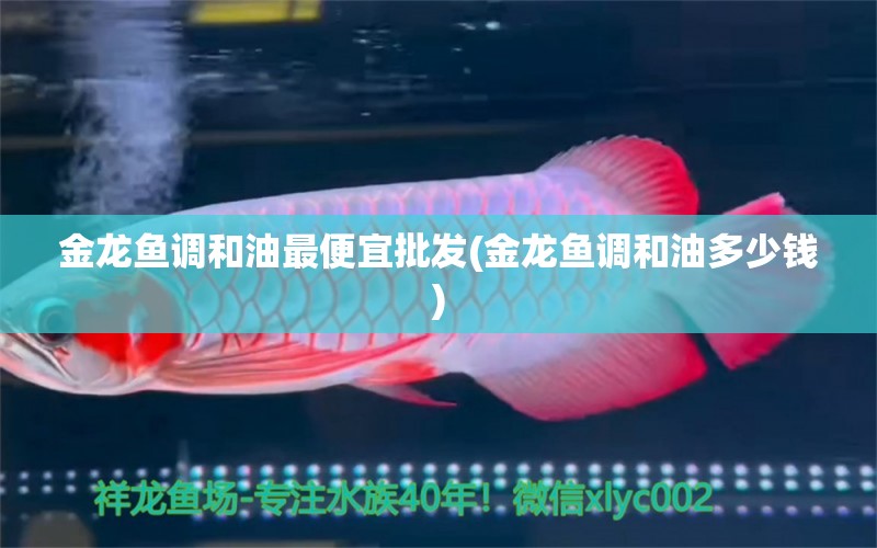 金龍魚調(diào)和油最便宜批發(fā)(金龍魚調(diào)和油多少錢) 觀賞蝦蟹等飼料