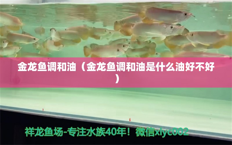 金龍魚調(diào)和油（金龍魚調(diào)和油是什么油好不好）