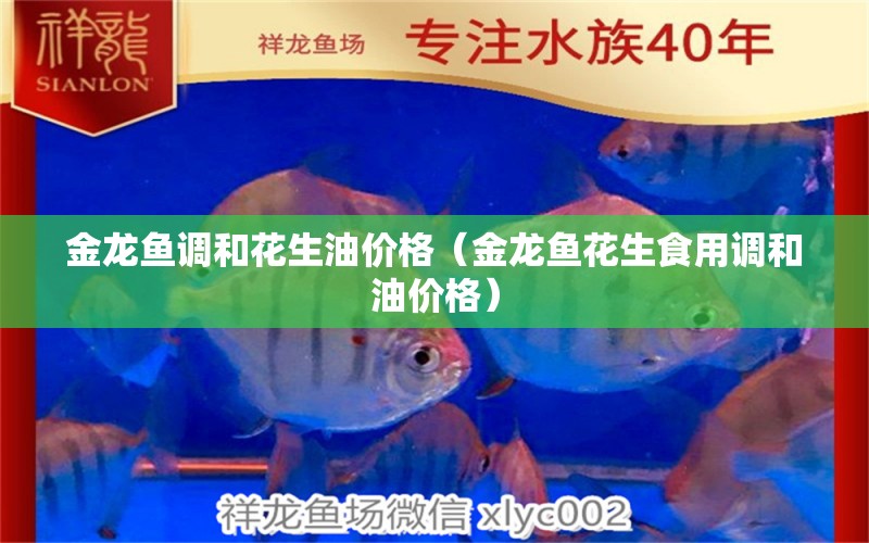 金龍魚(yú)調(diào)和花生油價(jià)格（金龍魚(yú)花生食用調(diào)和油價(jià)格） 狗仔招財(cái)貓魚(yú)