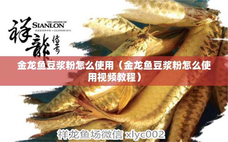 金龍魚(yú)豆?jié){粉怎么使用（金龍魚(yú)豆?jié){粉怎么使用視頻教程） 垂釣樂(lè)園