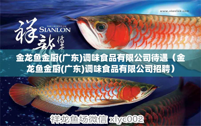 金龍魚金廚(廣東)調味食品有限公司待遇（金龍魚金廚(廣東)調味食品有限公司招聘） 大日玉鯖魚