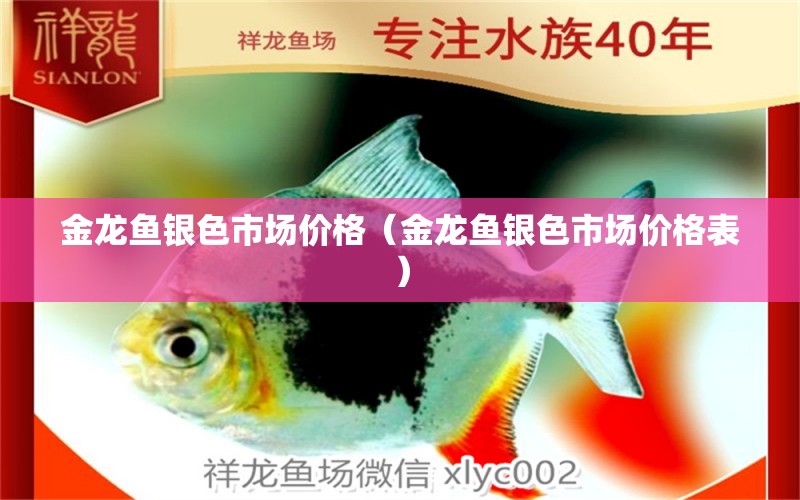 金龍魚銀色市場價格（金龍魚銀色市場價格表） 廣州龍魚批發(fā)市場