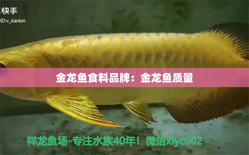 金龍魚食料品牌：金龍魚質(zhì)量