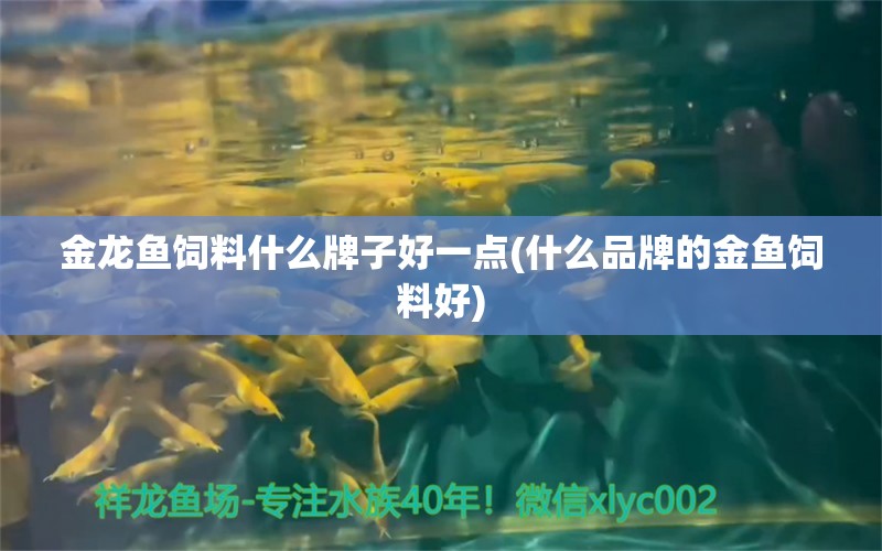 金龍魚(yú)飼料什么牌子好一點(diǎn)(什么品牌的金魚(yú)飼料好) 刀魚(yú)魚(yú) 第1張