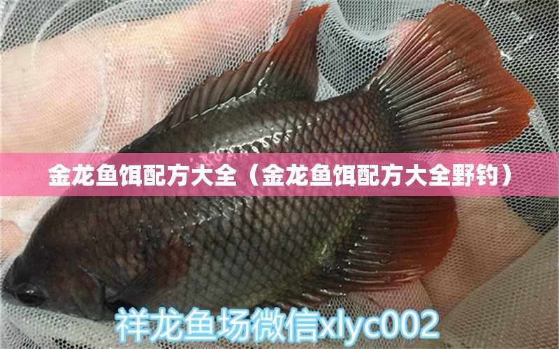 金龍魚餌配方大全（金龍魚餌配方大全野釣）