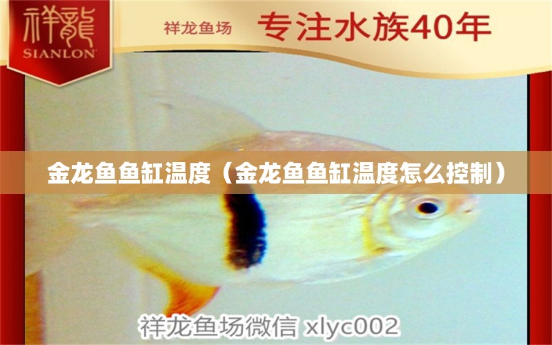 金龍魚(yú)魚(yú)缸溫度（金龍魚(yú)魚(yú)缸溫度怎么控制）