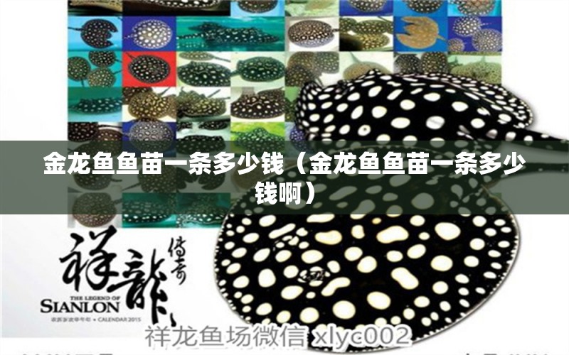 金龍魚魚苗一條多少錢（金龍魚魚苗一條多少錢?。? title=