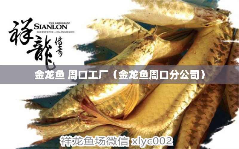 金龍魚 周口工廠（金龍魚周口分公司）