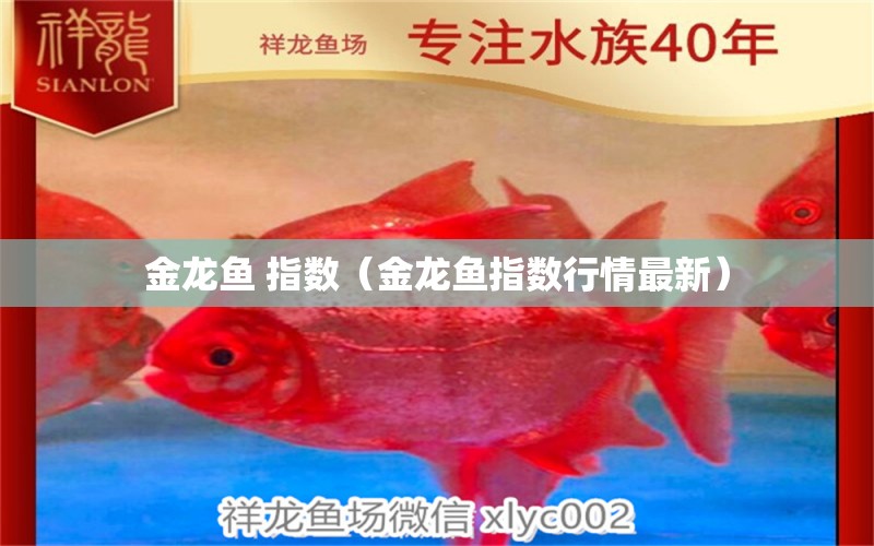 金龍魚 指數(shù)（金龍魚指數(shù)行情最新）