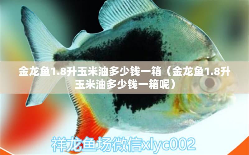 金龍魚(yú)1.8升玉米油多少錢一箱（金龍魚(yú)1.8升玉米油多少錢一箱呢）