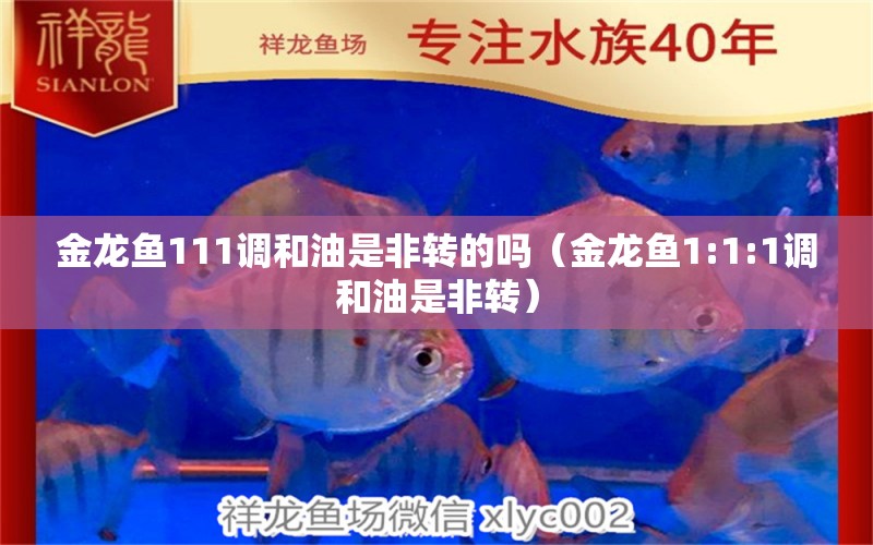 金龍魚111調(diào)和油是非轉(zhuǎn)的嗎（金龍魚1:1:1調(diào)和油是非轉(zhuǎn)）